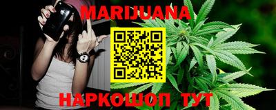 гидропоника Брянск