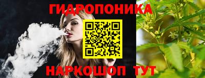 гидропоника Брянск