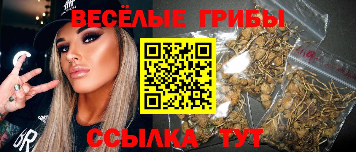 Псилоцибиновые грибы ЛСД Югорск